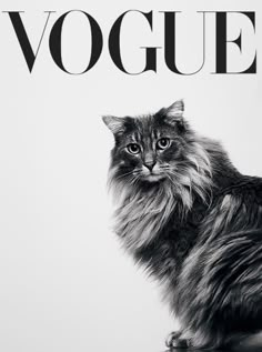 a black and white photo of a cat on the cover of a magazine that says, voge