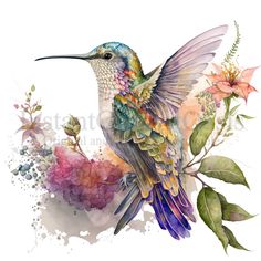 a watercolor painting of a hummingbird on a branch with flowers