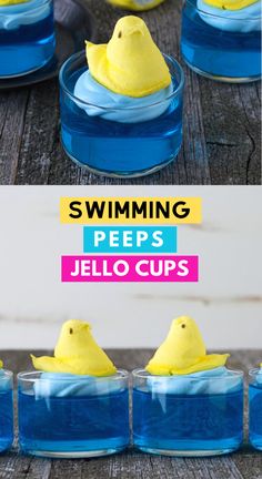 some yellow peeps are in blue cups