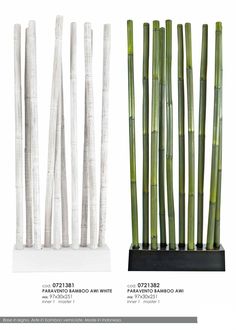 there are several different types of bamboos in this page, and the same type is not