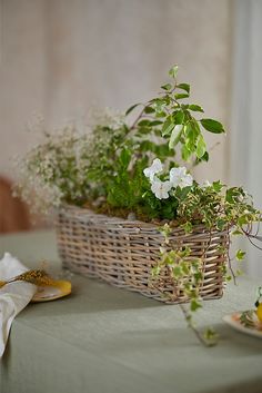 a basket filled with flowers sitting on top of a table next to a plate of food