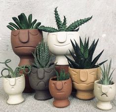 there are many potted plants in the shape of faces