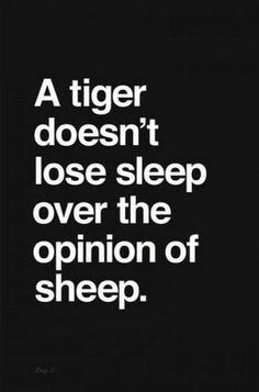 a sign that reads, a tiger doesn't lose sleep over the opinion of sheep