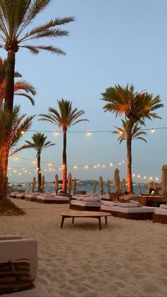 lounge chairs on the beach with palm trees and lights in the background at night time