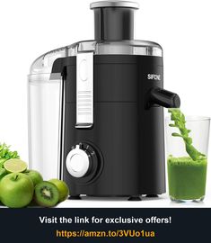 an image of a juicer that is on the table with some fruit in it