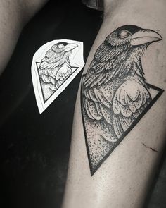 a black and white photo of a bird on someone's leg with a triangle in the background