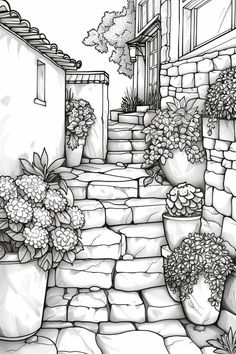 a black and white drawing of steps leading up to a house with potted plants