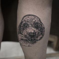 Poodle Tattoo, minimalist poodle tattoo, poodle tattoo ideas, toy poodle tattoo, poodle tattoo outline, standard poodle tattoo, simple poodle tattoo, geometric poodle tattoo, traditional poodle tattoo, black poodle tattoo, mini poodle tattoo, small poodle tattoo, cute poodle tattoo, realistic toy poodle tattoo, poodle tattoo designs, minimalist toy poodle tattoo, small simple poodle tattoo, minimalist poodle tattoo designs, french poodle tattoo, poodle tattoo images, cartoon poodle tattoo Toy Poodle Tattoo, Poodle Dog Tattoo, Poodle Tattoo Ideas, Cartoon Poodle, Tattoo Designs Minimalist, Poodle Tattoo, Small Poodle, Cute Poodle, Tattoo Mini