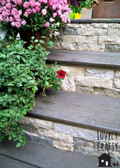 a red flower sitting on top of some steps