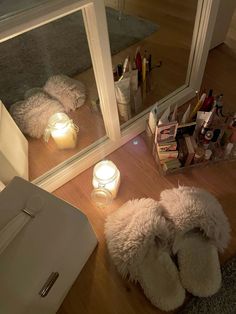 a dog laying on the floor in front of a mirror