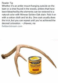 an antler's head next to a jar of peanut butter on a white background