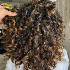 Curly Highlights, Curly Hair Trends, Dark Curly Hair, Dyed Curly Hair, Highlights Curly Hair, Brown Curly Hair, Curly Hair Photos