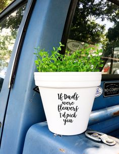 a potted plant sitting on the back of a blue truck's passenger seat