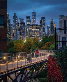 a man walking his dog across a bridge in front of the city skyline at night