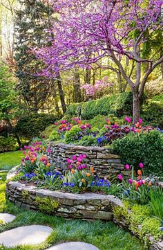 an image of a garden with flowers and rocks in the foreground, along with trees