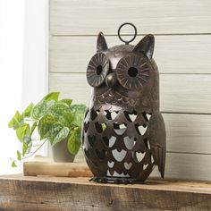 an owl figurine sitting on top of a wooden shelf next to a potted plant