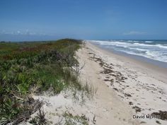 a sandy beach next to the ocean under a blue sky with white clouds and green vegetation