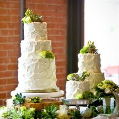 three tiered wedding cake with succulents and greenery on the table