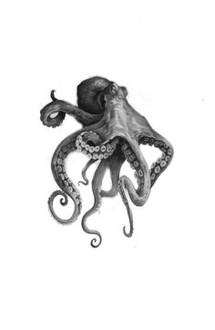 an octopus is laying on its back with it's head in the air and tentacles hanging