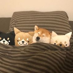 a dog is sleeping with three stuffed animals