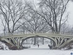 a person walking across a snow covered bridge in the middle of a park with lots of trees