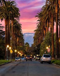 palm trees line the street in front of buildings