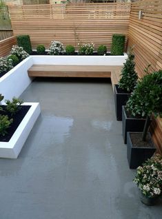 an image of a very nice looking garden with plants and benches in the middle of it