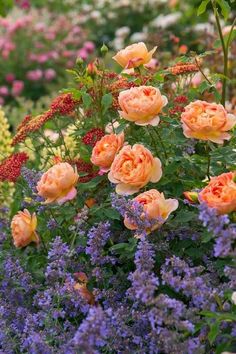 many different colored flowers in a garden