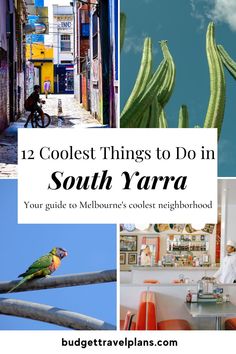 a collage of photos with the words coolest things to do in south yarra