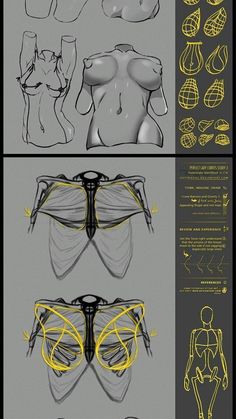 an image of the body with different angles and lines in yellow, black and white