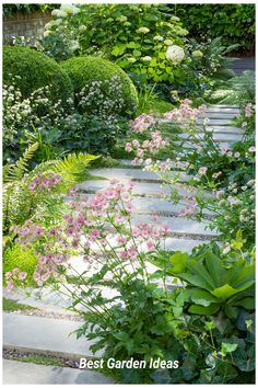 a garden with lots of plants and flowers in it, including pink flowers on the ground