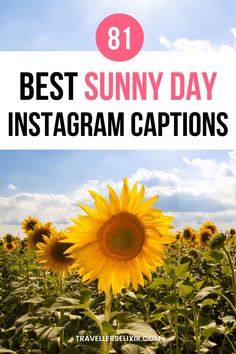 Best sun Instagram captions & quotes Sunny Days Captions For Instagram, Captions For Instagram Sunshine, Quotes Sunny Day, Sunny Sunday Quotes, Sunny Insta Captions, Sunny Caption, Nice Weather Captions, Sunny Instagram Caption, Caption For A Day Out