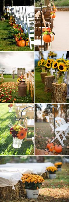 several pictures of pumpkins and sunflowers in buckets on the grass with chairs around them