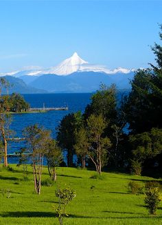 there is a mountain in the distance with trees and grass on the ground near water