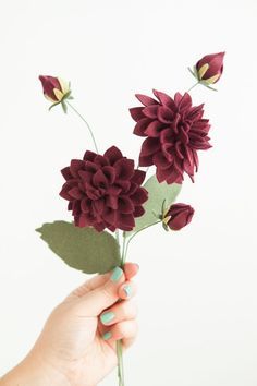 a person is holding some flowers in their hand