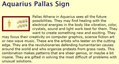 the aquarius palas sign