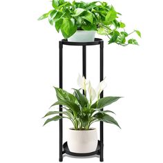 three tiered plant stand with white flowers and green plants in it on a white background