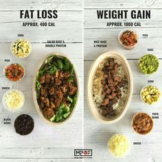 two pictures showing the different types of food that are in their bowls and on top of each other