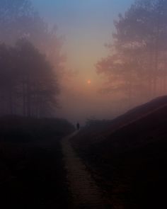 a person walking down a path in the foggy woods at sunset, with trees on either side