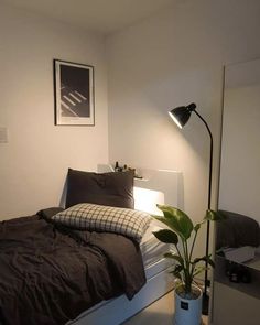 a bed sitting in a bedroom next to a plant on top of a white table