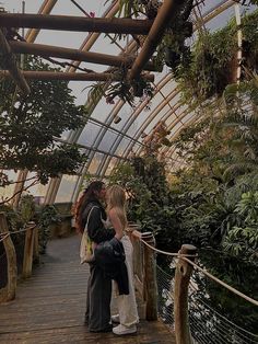 two people standing on a wooden walkway in a greenhouse