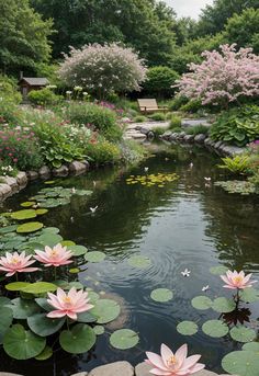 a pond filled with lots of water lilies