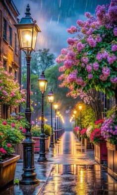 a street light sitting next to flowers and potted plants on the side of a road