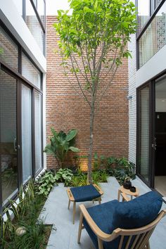 an outdoor patio with two chairs and a tree in the center, surrounded by plants