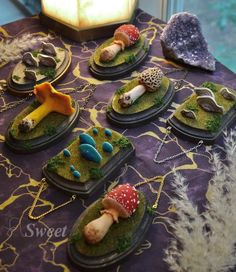 several small trays filled with different types of mushrooms and plants on top of a table