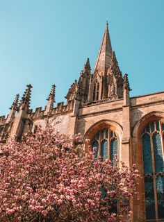 a tree with pink flowers in front of a large stone building and blue sky behind it