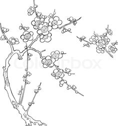 an ink drawing of a branch with flowers