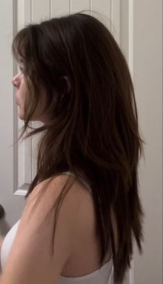 Long Haircut Aesthetic, Lon Hair, Hair Wolfcut Long, Messy Hair Haircut, Long Soft Wolfcut, Long And Straight Hair, Layered Cut Long Hair, Long Haircut No Styling, Good Haircuts For Long Hair