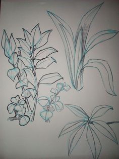 three drawings of flowers and leaves on a white sheet with blue marker markers in the middle