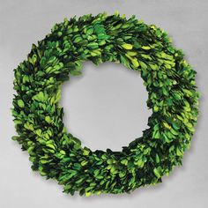 12 round preserved boxwood wreath with gray background. English Boxwood, Classic Essence, Preserved Boxwood Wreath, Preserved Boxwood, Boxwood Wreath, Natural Look, Lush, Wreath, Essence